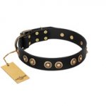 "Golden Artifact" FDT Artisan Black Leather Boxer Collar with Old-bronze Covered Medallions