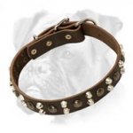 Leather Dog Collars with Studs and Pyramids for Boxer