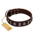 "Spiky Way" FDT Artisan Brown Leather Boxer Collar with Silver-Like Decorations