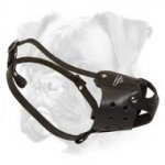 Safe Latigo Muzzle for Boxer