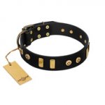 "Rare Dog" FDT Artisan Black Leather Boxer Collar with Old Bronze-like Dotted Studs and Tiles