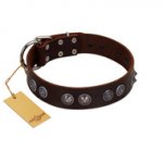 "King Arthur" FDT Artisan Brown Leather Boxer Collar with Spiky Plates