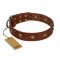 "Unfailing Charm" FDT Artisan Studded Tan Leather Boxer Collar