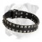 Exclusive Leather Boxer Collar with 2 Rows of Nickel Dotted Studs