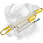 Fire Hose Bite Tugs Training Set