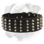 Super Durable Leather Boxer Collar with Pyramids