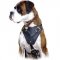 Agitation / Attack Leather Dog Harness Perfect For your Boxer