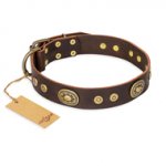 "One-of-a-Kind" FDT Artisan Handmade Decorated Brown Leather Boxer Collar