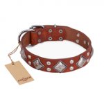 "Magic Squares" FDT Artisan Tan Leather Boxer Collar with Silver-like Decor