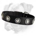 Deluxe Nylon Boxer Collar with Silver Conchos
