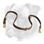 Classic Training Leather Dog Leash for Boxer
