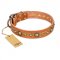 "Feast of Luxury" FDT Artisan Tan Leather Boxer Collar with Old Bronze Look Circles