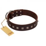 "Kingly Grace" FDT Artisan Brown Leather Boxer Collar with Silver-like Dotted Studs