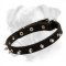 Glorious Leather Collar with Attractive Spikes