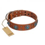 "Blue Sands" FDT Artisan Tan Leather Boxer Collar with Silver-like Studs and Round Conchos with Stones