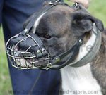 Short Snout Wire Dog Muzzle for Boxer
