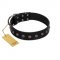 "Flower Rhapsody" FDT Artisan Premium Quaulity Black Leather Boxer Collar
