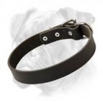 Daily Leather Collar for Boxer - Comfort and Practicality