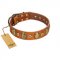 "Crystal Sand" FDT Artisan Tan Leather Boxer Collar with Vintage Looking Oval and Round Studs