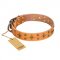 'Top-Flight' FDT Artisan Adorned Tan Leather Boxer Collar