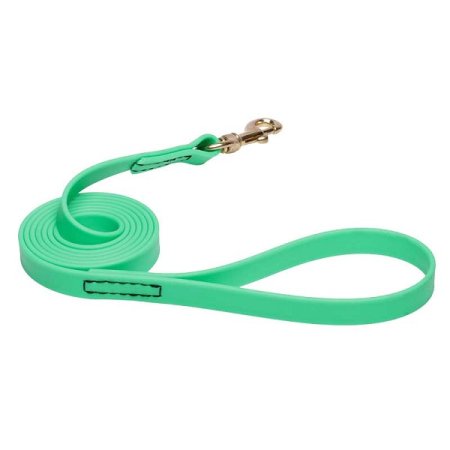Green Waterproof Boxer Leash Made of Biothane
