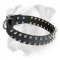 Fabulous Boxer Leather Spiked Collar for Daily Walks and Training