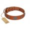"Foxy Nature" FDT Artisan Tan Leather Boxer Collar with Chrome Plated Brooches