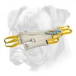 Boxer Fire Hose Bite Tugs -Training Set