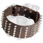 High Quality leather Boxer Collar with Nickel Pyramids and Spikes