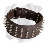 Splendid Leather Boxer collar with 4 Rows of Nickel Spikes