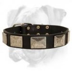 Handcrafted Leather Dog Collar With Vintage Massive Plates