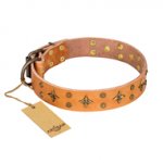 'Top-Flight' FDT Artisan Adorned Tan Leather Boxer Collar