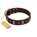 "War Chief" FDT Artisan Genuine Brown Leather Boxer Collar with Skulls and Plates