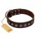 "Starry-Eyed" Best Quality FDT Artisan Brown Designer Leather Boxer Collar with Small Plates