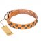 "Precious Sparkle" FDT Artisan Tan Leather Boxer Collar - 1 1/2 inch (40 mm) Wide