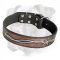 Fabulous Leather Boxer Collar - Barbed Wire