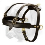 Marvelous Pulling/Tracking/Walking Harness for Active Boxer