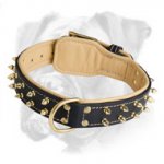 Luxury Leather Collar with Brass Spikes
