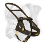 High-End Guide and Assistance Leather Boxer Harness with Handle