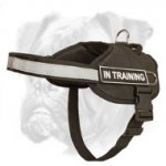 Extremely Light in Weight and Comfortable Nylon Harness for Tracking, Pulling and Walking