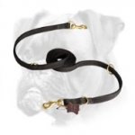 Boxer Police Nylon Lead for Tracking