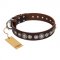 "Step and Sparkle" FDT Artisan Glamorous Studded Brown Leather Boxer Collar