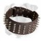 Splendid Leather Boxer collar with 4 Rows of Nickel Spikes
