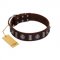 "Spiky Way" FDT Artisan Brown Leather Boxer Collar with Silver-Like Decorations