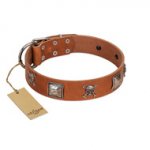 "Amorous Escapade" Embellished FDT Artisan Tan Leather Boxer Collar with Chrome Plated Crossbones and Plates