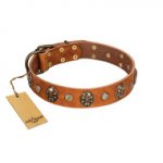 "Call of Feat" FDT Artisan Tan Leather Boxer Collar with Old Bronze-like Studs and Oval Brooches