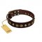 "Street Fashion" FDT Artisan Brown Leather Boxer Collar Adorned with Circles and Skulls