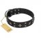 "Star Excitement" Modern FDT Artisan Black Leather Boxer Collar with Studs and Stars
