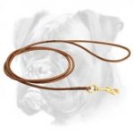 Gorgeous Dog Shows Round Leather Boxer Leash