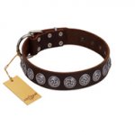 "Charming Circles" FDT Artisan Brown Leather Boxer Collar with Silver-like Studs